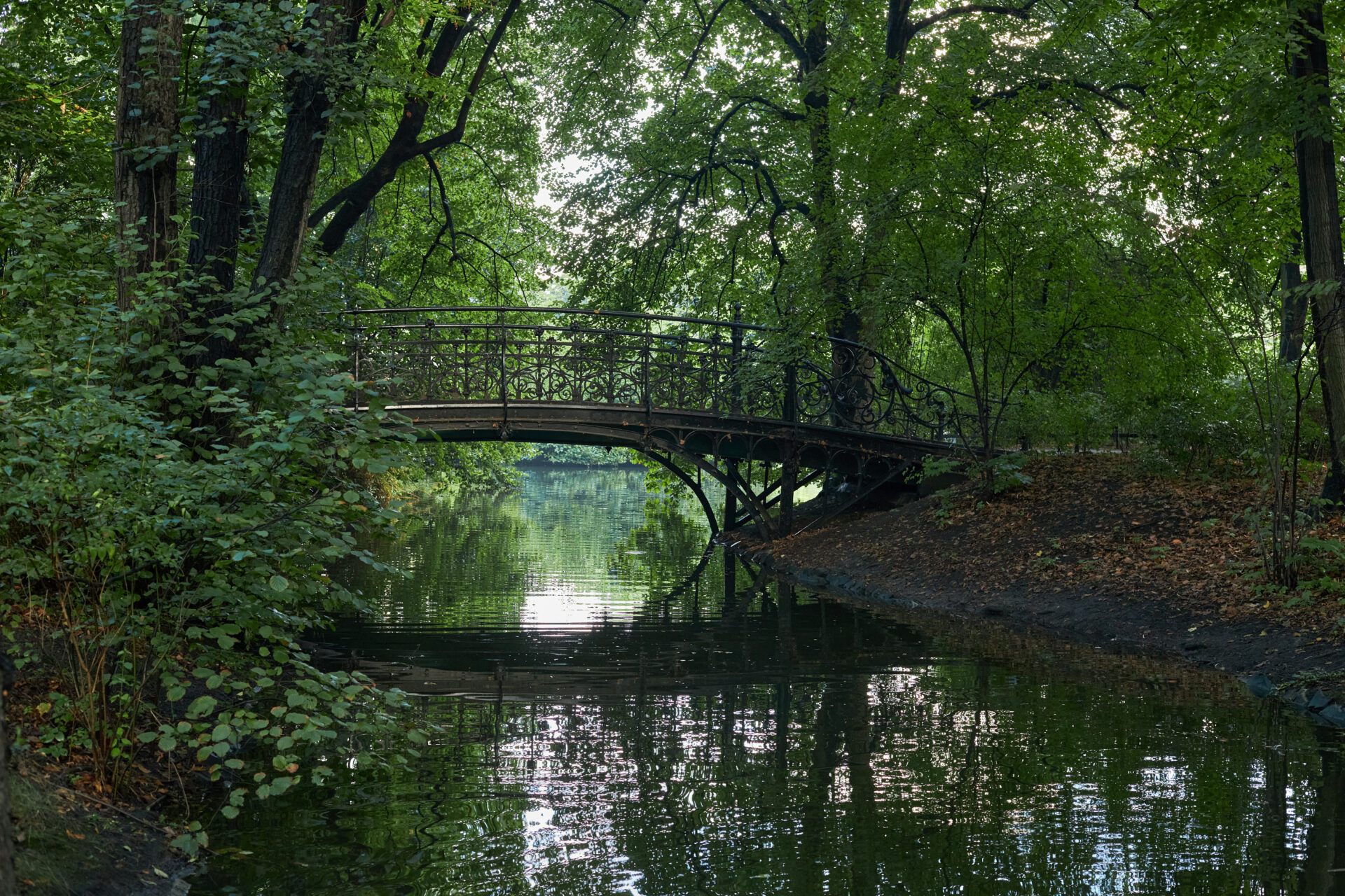 Mostek w gęstwinie poprowadzony nad rzeką. Zdjęcie ma lekko mroczny klimat.