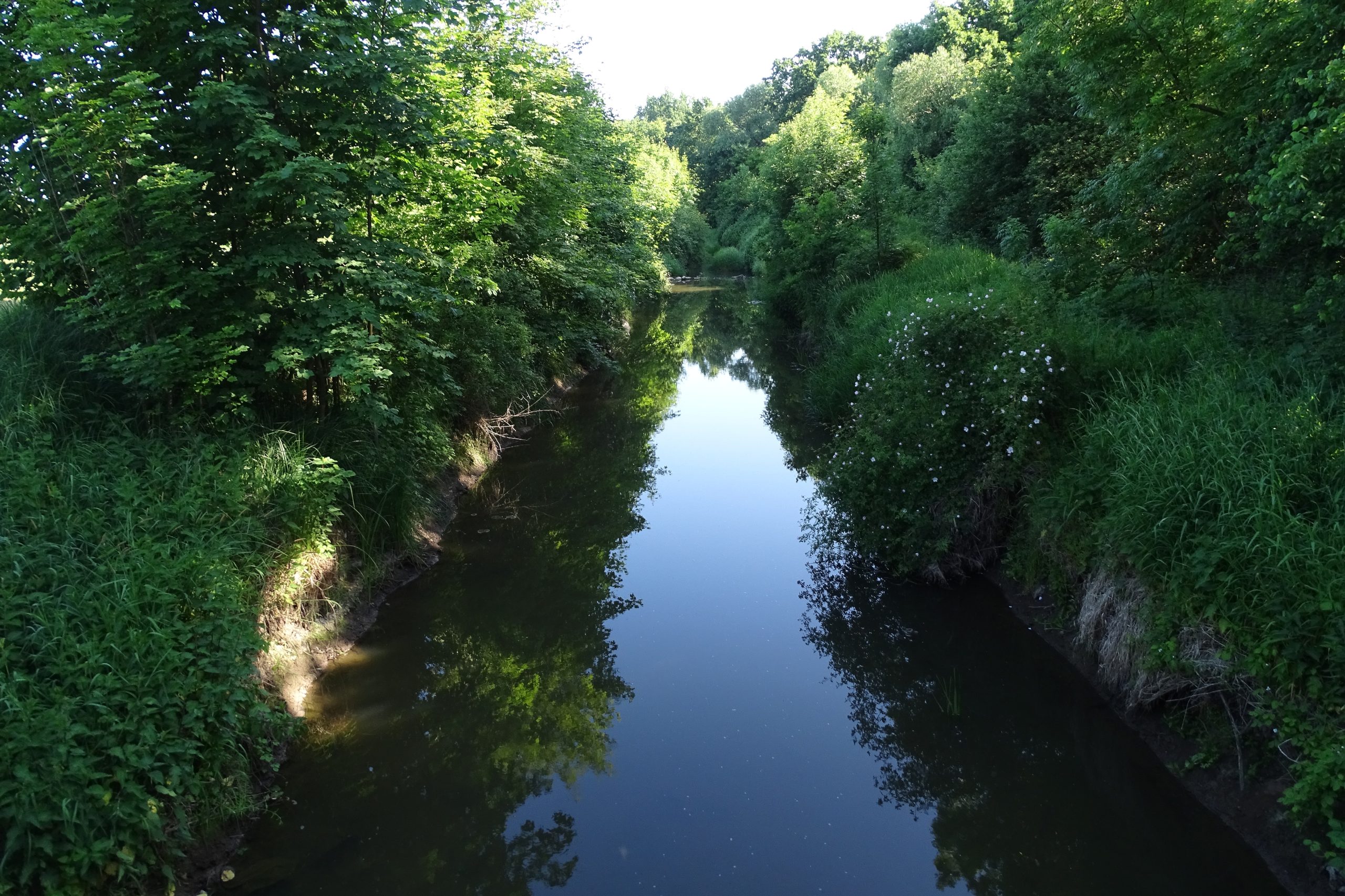 Rzeka Czarna Woda - Dolny Śląsk Travel