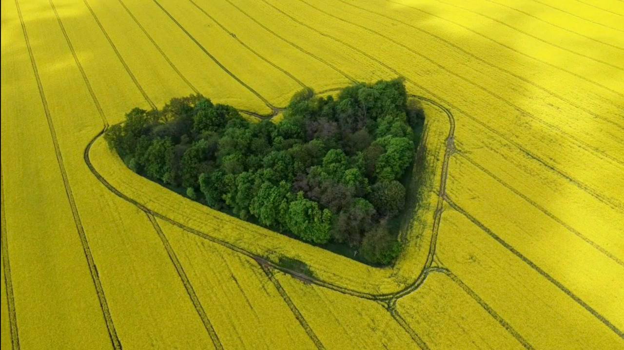Majówka to wyjątkowy czas, gdy przyroda budzi się do życia, wszystko wokół rozkwita, a coraz częściej w naszych planach pojawiają się spotkania na świeżym powietrzu i aktywności, które niosą ze sobą radość i pozytywną energię. Nie inaczej będzie w tym roku na Dolnym Śląsku – regionie, który jak zwykle zachwyca różnorodnością majówkowych atrakcji. Warto już […]